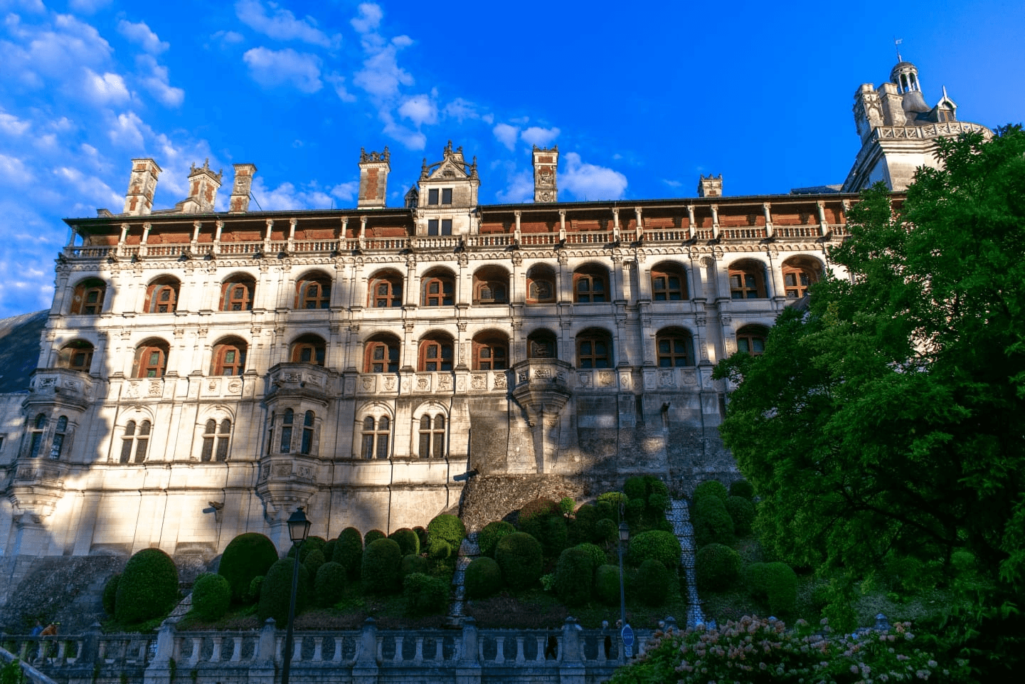 Visite guidée du Château royal de Blois
